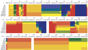 HeatMap copy